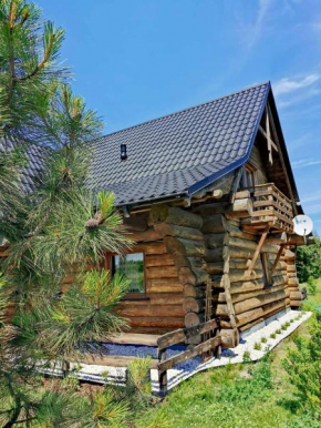 Klimatyczny dom z bali, Powidz